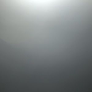 Meet your Posher, Elle